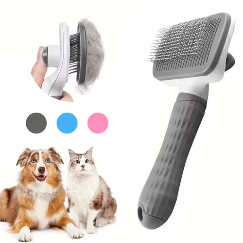 Brosse pour chien