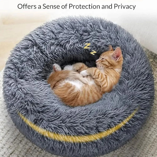 Pet room